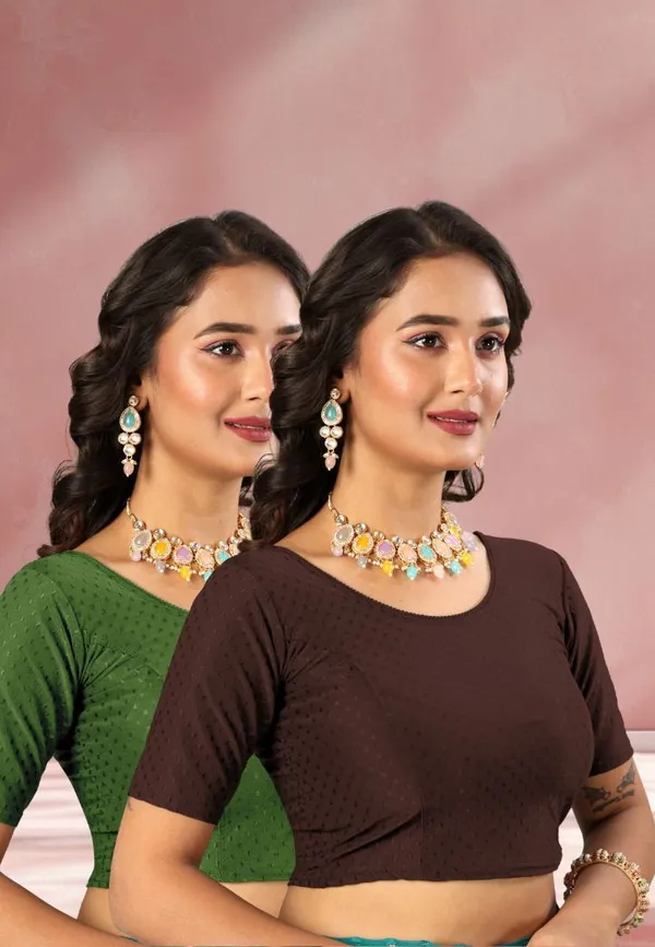 Drishti_Fashion_Round_Neck_Women_Blouse_()
