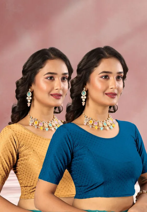 Drishti_Fashion_Round_Neck_Women_Blouse_()