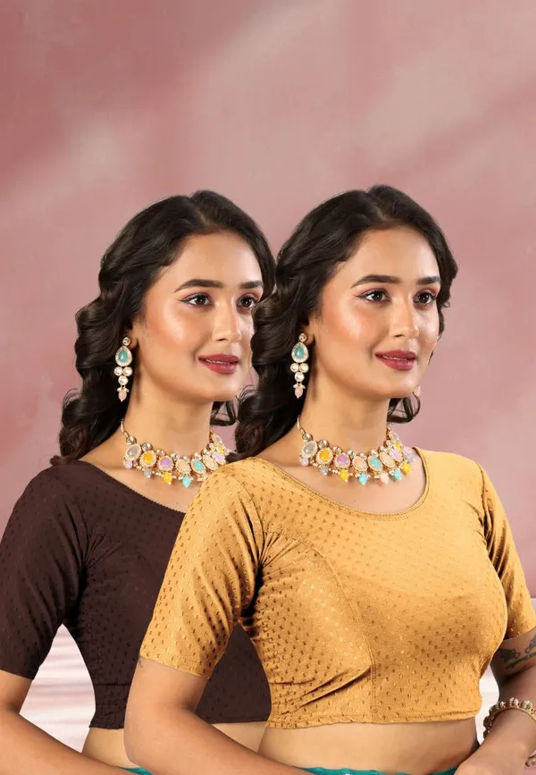 Drishti_Fashion_Round_Neck_Women_Blouse_()