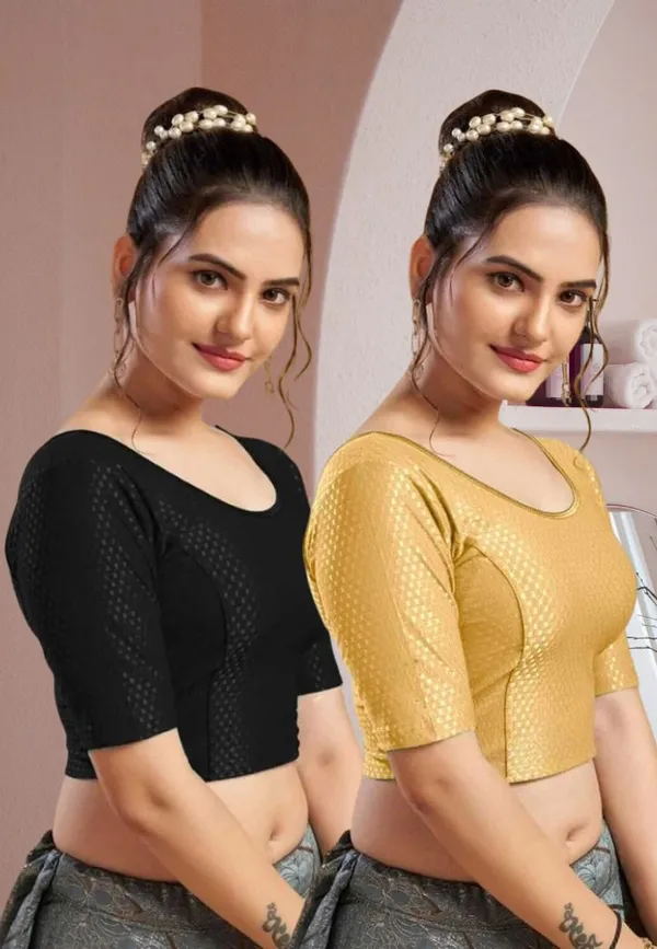 Drishti_Fashion_Round_Neck_Women_Blouse_()