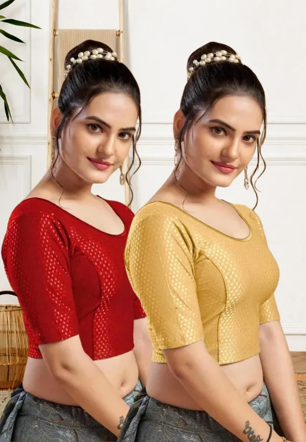 Drishti_Fashion_Round_Neck_Women_Blouse_()