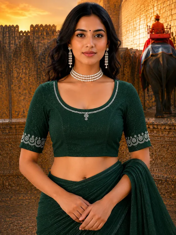 Drishti_Fashion_Round_Neck_Women_Blouse_()