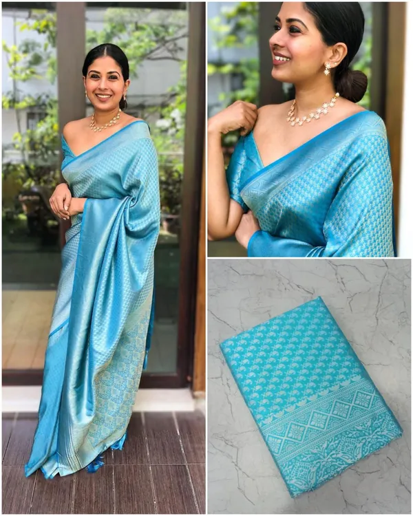 Elegant_Sky_Blue_Jacquard_Silk_Saree