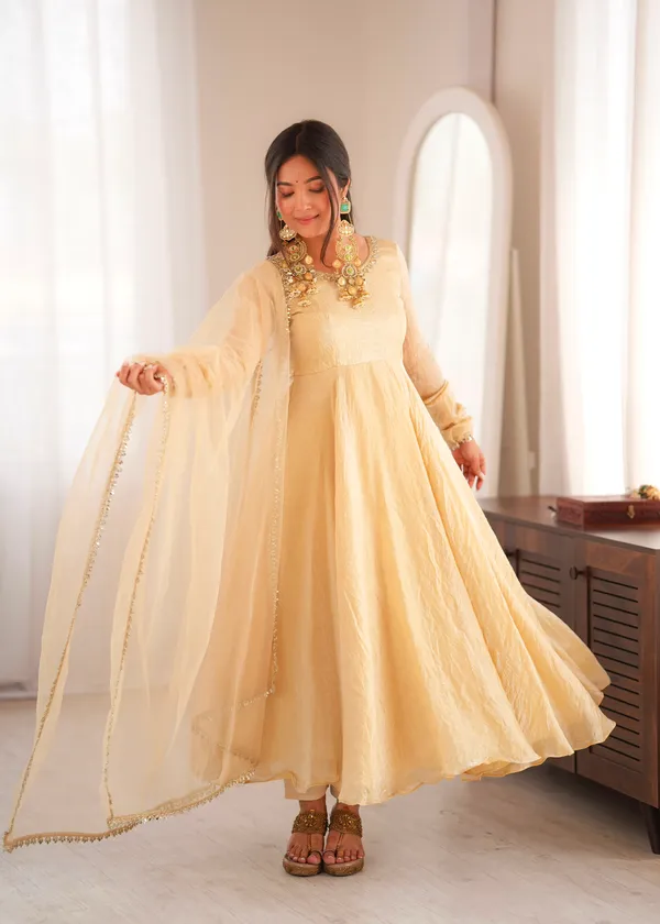 Doremon_Crush_Real_Mirror_Work_Gown_Set_with_Dupatta