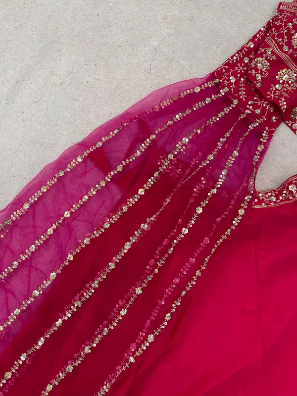 Gajri_Colour_Sequins_Lehenga_Choli_Set
