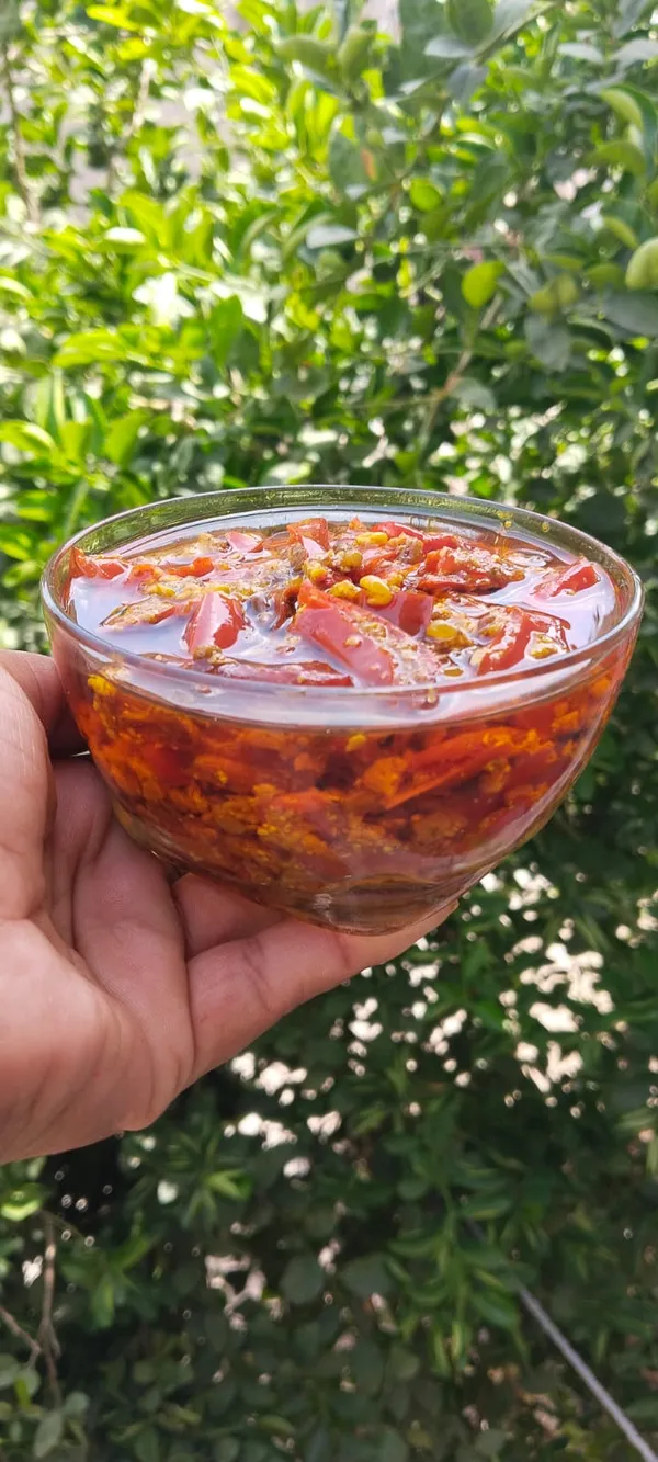 pack_of_2_Desi_Lal_Mirch__Achar_pack_of_2