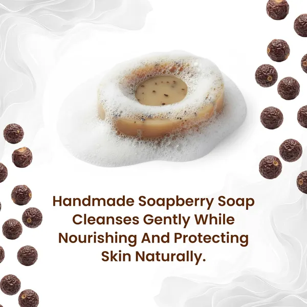Pack_of_2_-_Kamdhenu_Gauveda_Soapberry_Aloe_Vera_Handmade_Soap_