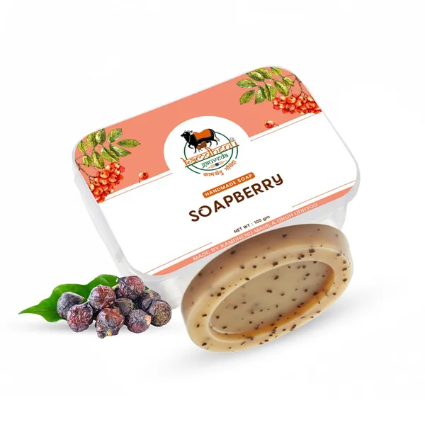 Pack_of_2_-_Kamdhenu_Gauveda_Soapberry_Aloe_Vera_Handmade_Soap_