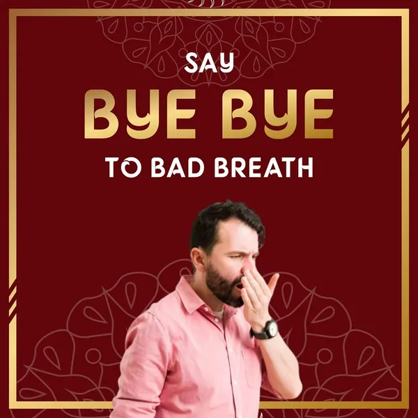 Pack_of_2_-_Kamdhenu_Gauveda_Mixed_Mukhwas_Mouth_Freshener