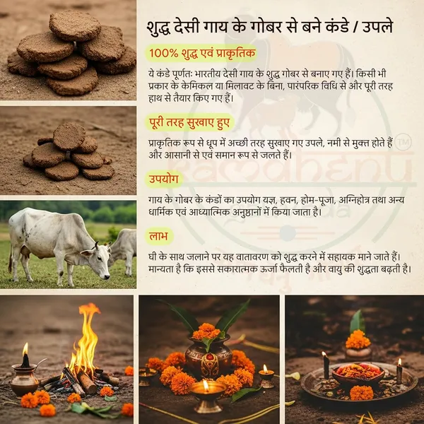 Pack_of_2_-_Cow_Dung_Cakes_