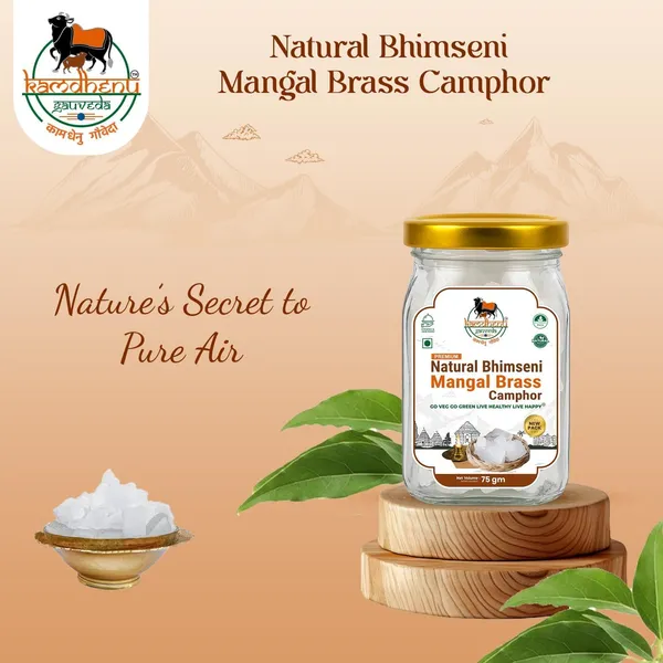 Pack_of_2_-_Brass_Camphor_For_Puja_And_Meditation