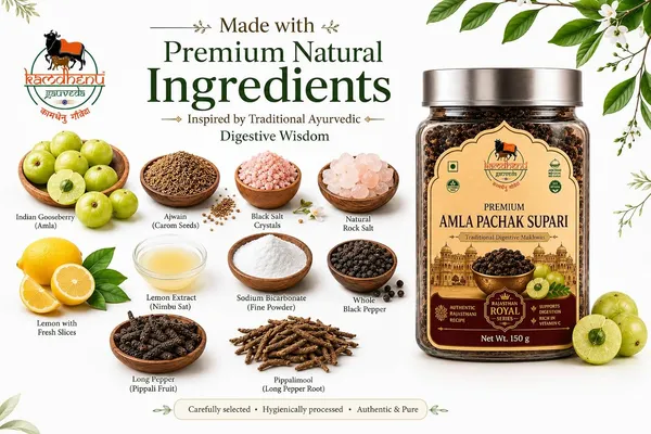 Pack_of_2_-_Kamdhenu_Gauveda_Amla_Ajwain_Digestive_Mukhwas_