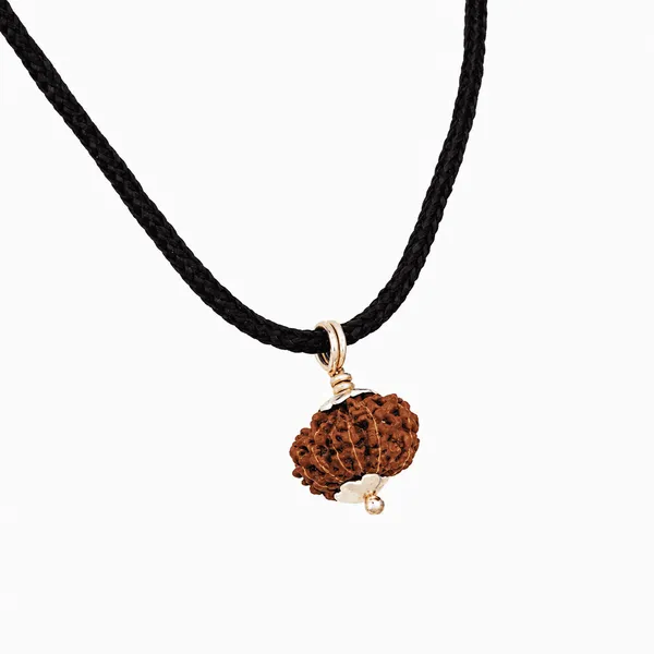 Original_12_Mukhi_Java_Rudraksha_Pendant_With_Silver_Cap_Sacred_Surya_Rudraksha_Locket_For_Leadership_Spiritual_Growth