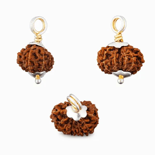 Original_12_Mukhi_Java_Rudraksha_Pendant_With_Silver_Cap_Sacred_Surya_Rudraksha_Locket_For_Leadership_Spiritual_Growth