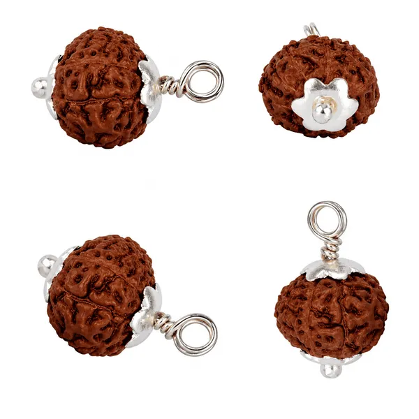 Original_9_Mukhi_Java_Rudraksha_Pendant_With_Silver_Cap_Sacred_Nine_Face_Locket_For_Strength_Protection_Spiritual_Growth