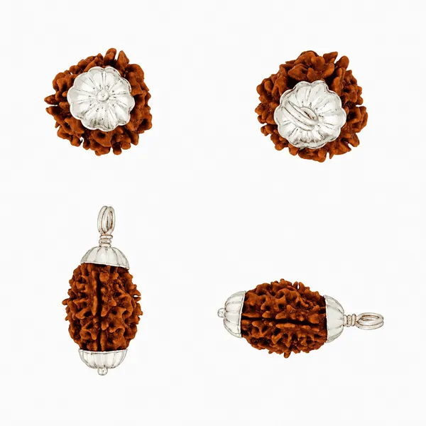 Original_3_Mukhi_Rudraksha_Pendant_With_White_Cap_Himalayan_Rudraksha_Locket_For_Confidence_Spiritual_Growth