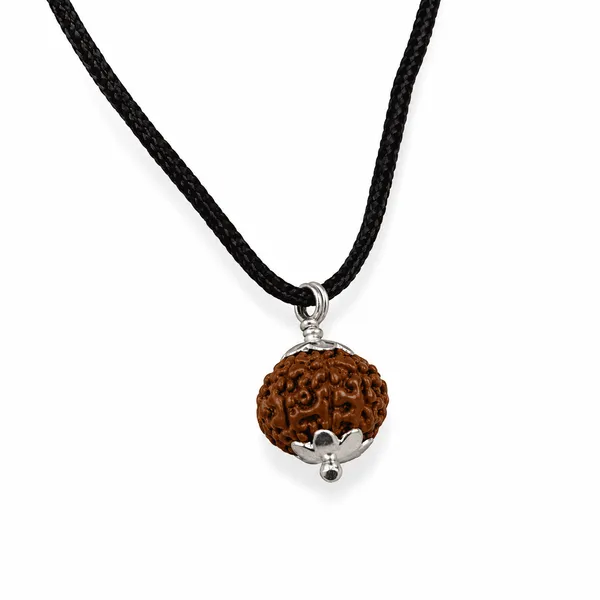 Original_10_Mukhi_Java_Rudraksha_Pendant_With_Silver_Cap_Sacred_Ten_Face_Locket_For_Divine_Protection_Spiritual_Balance