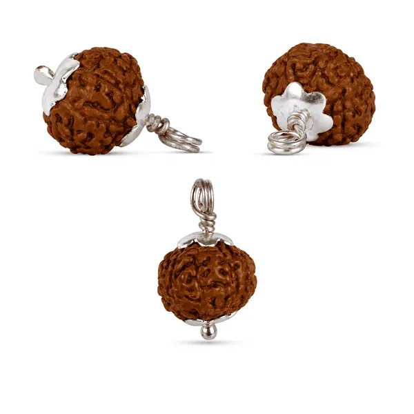 Original_10_Mukhi_Java_Rudraksha_Pendant_With_Silver_Cap_Sacred_Ten_Face_Locket_For_Divine_Protection_Spiritual_Balance