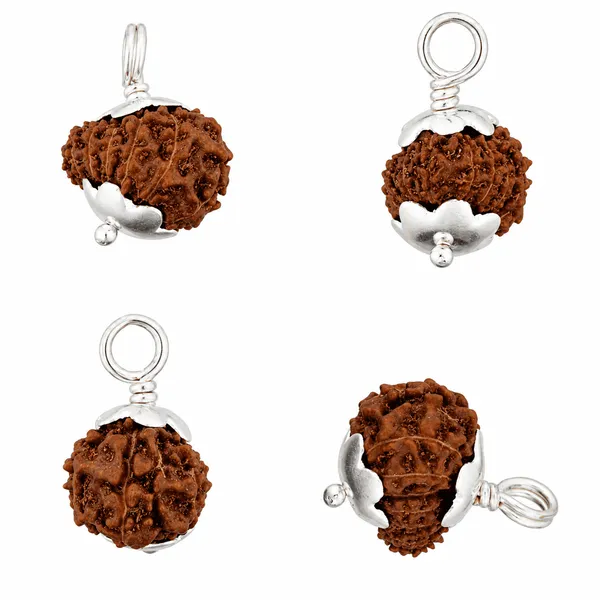 Original_13_Mukhi_Java_Rudraksha_Pendant_With_Silver_Cap_Sacred_Thirteen_Face_Locket_For_Spiritual_Growth_Divine_Blessings