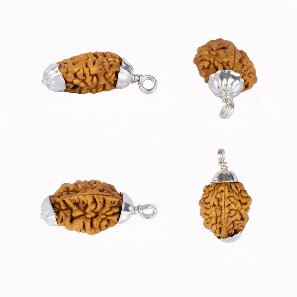 Original_2_Mukhi_Rudraksha_Pendant_With_Silver_Cap_South_Rudraksha_Locket_For_Harmony_Spiritual_Balance