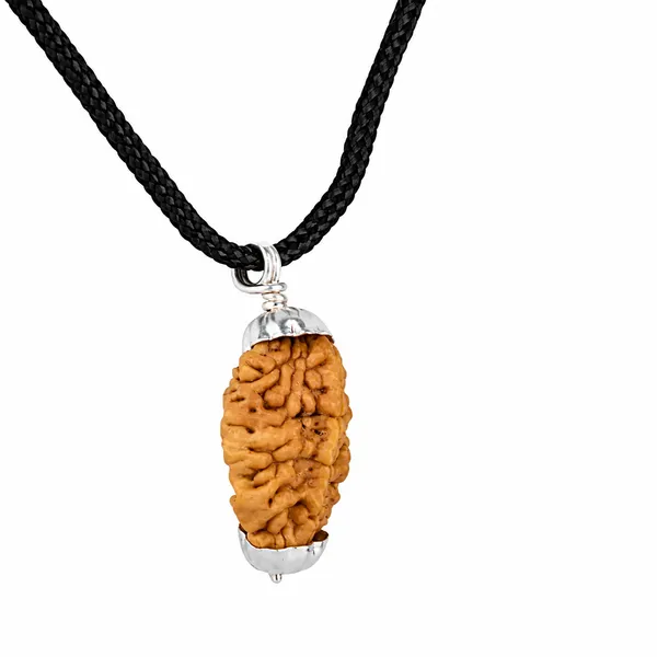 Original_2_Mukhi_Rudraksha_Pendant_With_Silver_Cap_South_Rudraksha_Locket_For_Harmony_Spiritual_Balance