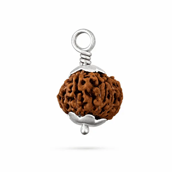 Original_11_Mukhi_Java_Rudraksha_Pendant_With_Silver_Cap_Sacred_Eleven_Face_Locket_For_Courage_Protection_Spiritual_Growth