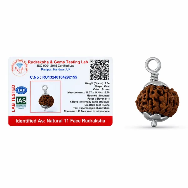Original_11_Mukhi_Java_Rudraksha_Pendant_With_Silver_Cap_Sacred_Eleven_Face_Locket_For_Courage_Protection_Spiritual_Growth