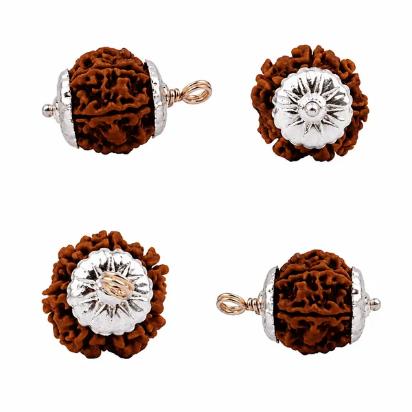 Original_6_Mukhi_Nepali_Rudraksha_Pendant_With_Silver_Cap_Sacred_Six_Face_Locket_For_Confidence_Wisdom_Spiritual_Growth