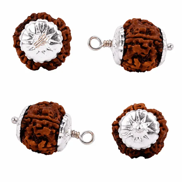 Original_7_Mukhi_Nepali_Rudraksha_Pendant_With_Silver_Cap_Sacred_Seven_Face_Locket_For_Prosperity_Balance_Spiritual_Well_Being