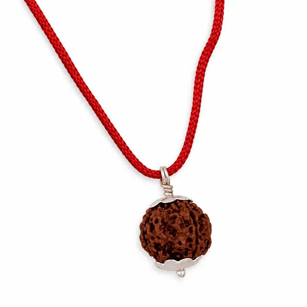 Original_4_Mukhi_Nepali_Rudraksha_Pendant_With_White_Cap_Sacred_Locket_For_Wisdom_Learning_Spiritual_Growth