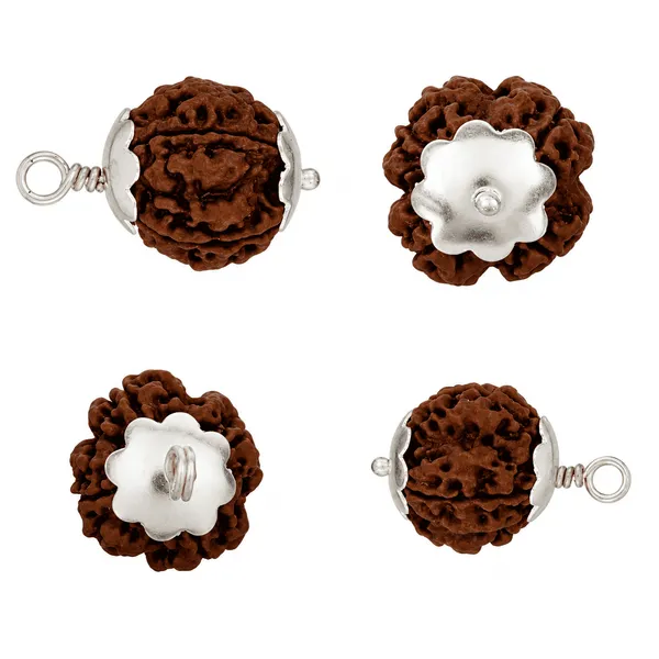 Original_4_Mukhi_Nepali_Rudraksha_Pendant_With_White_Cap_Sacred_Locket_For_Wisdom_Learning_Spiritual_Growth