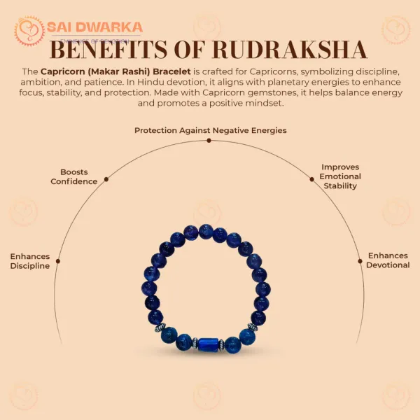 Capricorn_Makar_Rashi_Zodiac_Bracelet_Sphatik_Tiger_Eye_Black_Onyx_Fluorite_Rhodonite_Gemstone_Bracelet_Adjustable