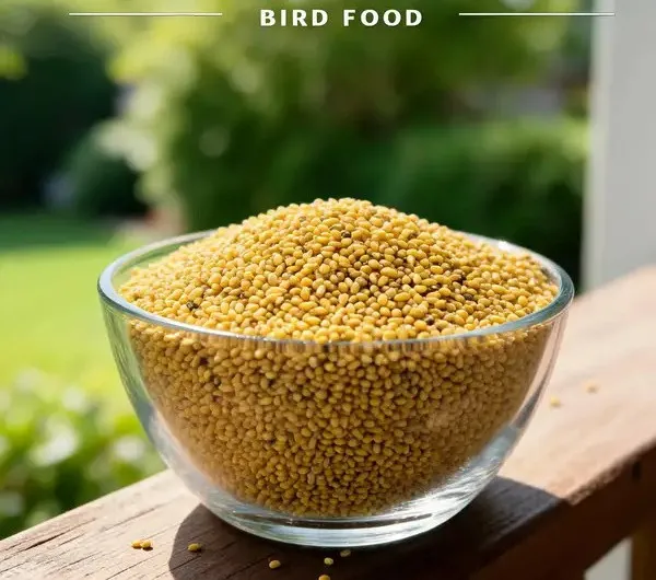 Multicolor_Small_Millet_Bird_Food