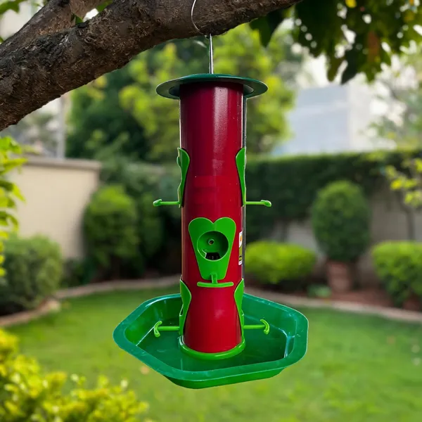 Maroon_And_Green_Iron_Cylindrical_Hanging_Bird_Feeder_With_Tray