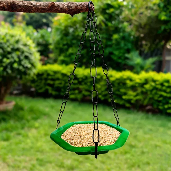 Green_Plastic_Hanging_Bowl_Bird_Feeder_With_Chain