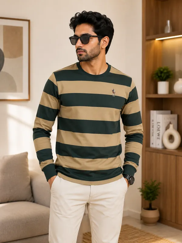 Beige_Green_Striped_Full_Sleeve_Round_Neck_Striped_T-Shirt.