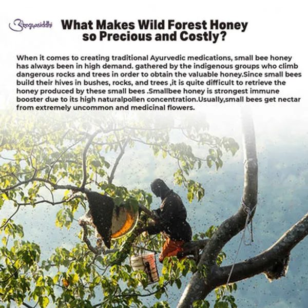 Wild_Forest_Honey_For_Healthy_Sweetener