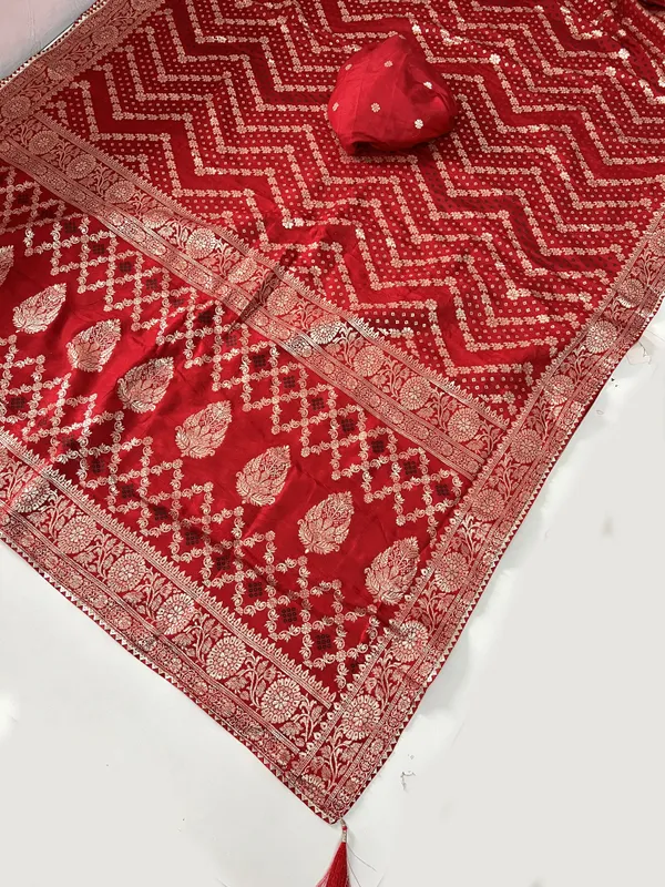 Dola_Silk_Saree_With_All_Over_Zari_Weaving,_Saree_Border,_Paipin_&_Samosa_Lace_Border