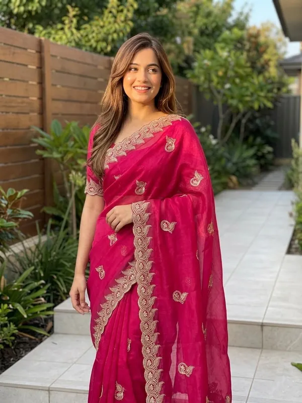 Embellished,_Embroidered,_Striped,_Woven_Bollywood_Chiffon_Saree_(Pink)