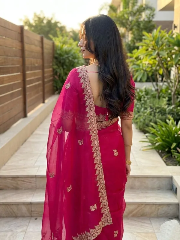 Embellished,_Embroidered,_Striped,_Woven_Bollywood_Chiffon_Saree_(Pink)