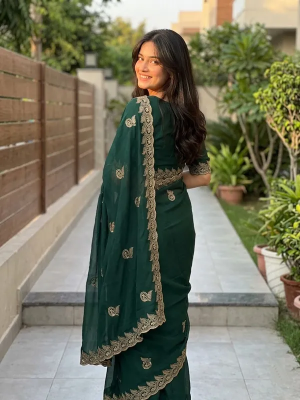 Embellished,_Embroidered,_Striped,_Woven_Bollywood_Chiffon_Saree_(Light_Green)