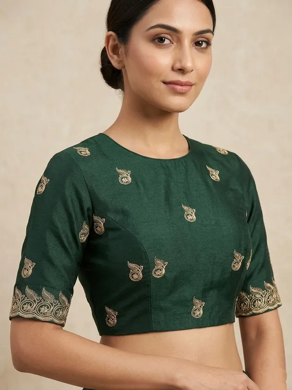 Embellished,_Embroidered,_Striped,_Woven_Bollywood_Chiffon_Saree_(Light_Green)