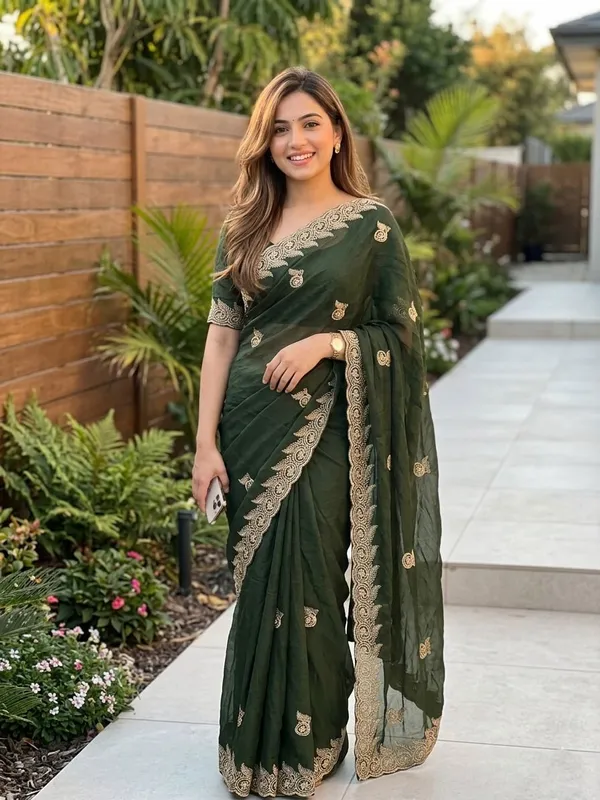 Embellished,_Embroidered,_Striped,_Woven_Bollywood_Chiffon_Saree_(Light_Green)