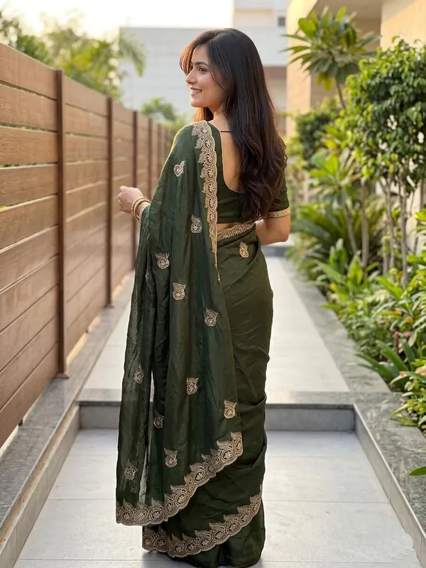 Embellished,_Embroidered,_Striped,_Woven_Bollywood_Chiffon_Saree_(Light_Green)