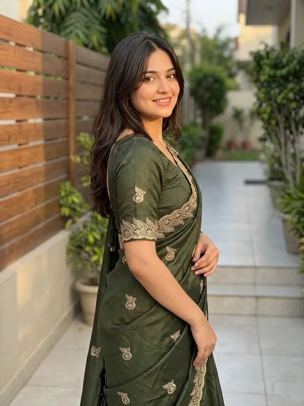 Embellished,_Embroidered,_Striped,_Woven_Bollywood_Chiffon_Saree_(Light_Green)