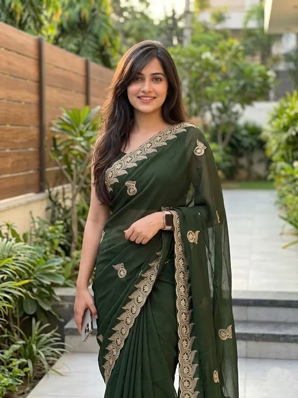 Embellished,_Embroidered,_Striped,_Woven_Bollywood_Chiffon_Saree_(Light_Green)