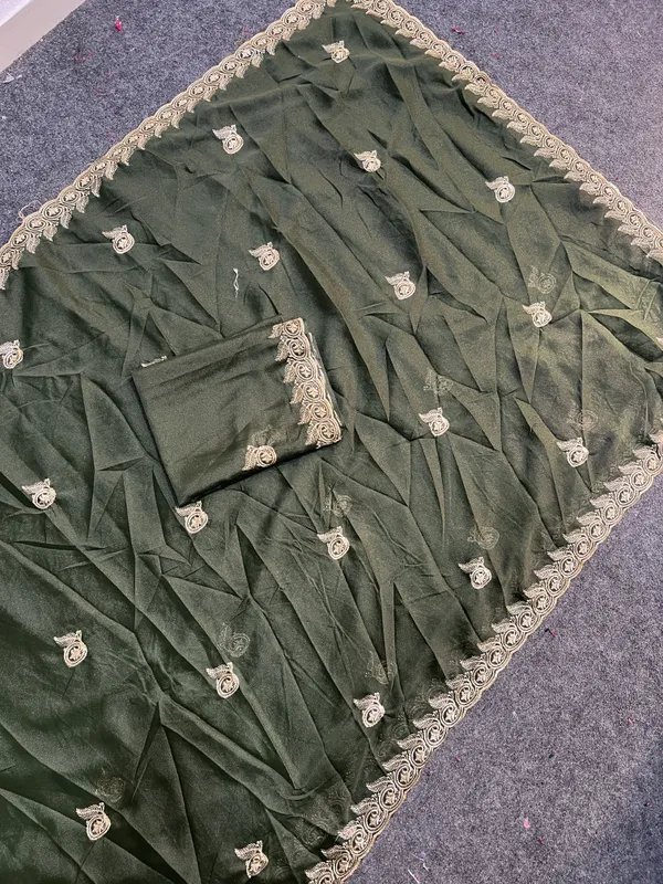 Embellished,_Embroidered,_Striped,_Woven_Bollywood_Chiffon_Saree_(Light_Green)