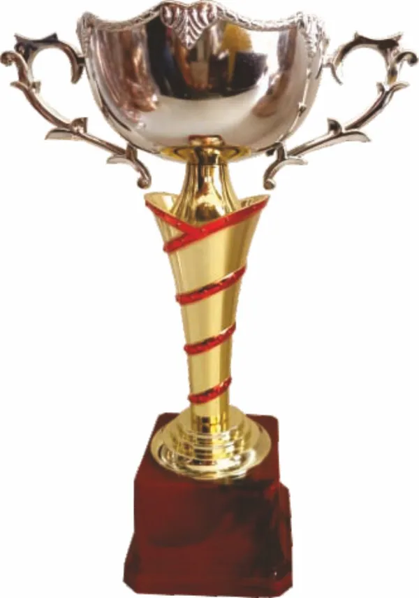Silver_Gold_Metal_Double-Handle_Trophy_Cup_With_Wooden_Base
