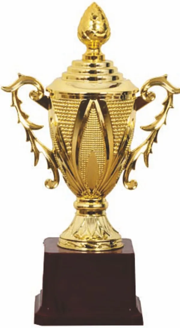 Golden_Metal_Double-Handle_Trophy_Cup_With_Wooden_Base