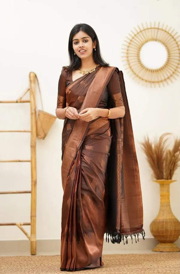 Graceful_Lichi_Silk_Saree_with_Elegant_Jacquard_Work,_Rich_Pallu_&_Designer_Border_Blouse